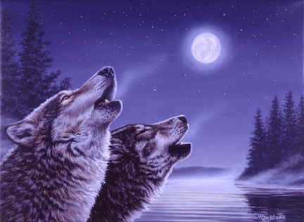 Wolf 3